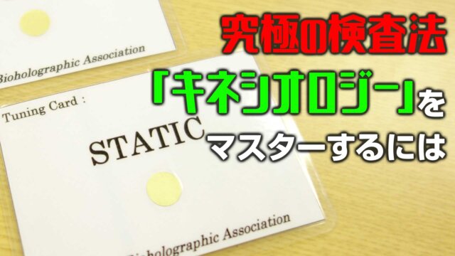 The キネシオロジーセミナーDVD 川村修一 theキネシオロジーセミナーDVD 川村修一