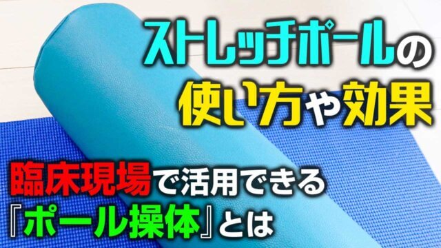 骨盤 タグの記事一覧 デキる治療家の専門メディア 手技オンライン通信